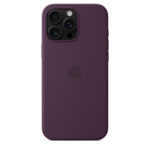 Case