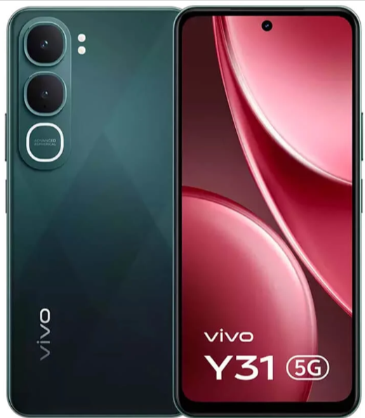 y31
